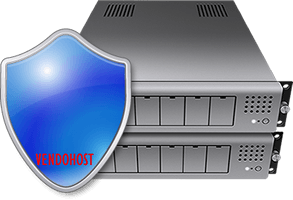 Web hosting con proteccion DDoS